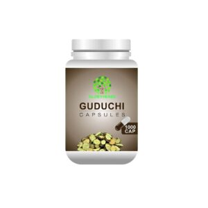 GLOBYHERBS Giloy/Guduchi (Tinospora Cordifolia), Natural Giloy Extract, Antioxidant Properties, Immunity Booster, Health And Wellness (1000's (Pack of 2))