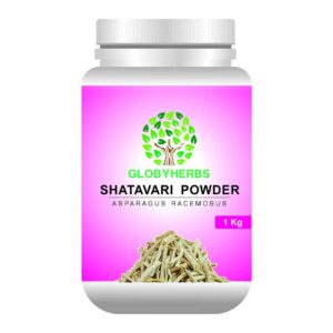 GLOBYHERBS Shatavari (Asparagus Racemosus) Powder 1kg