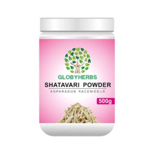 GLOBYHERBS Shatavari (Asparagus Racemosus) Powder 500g