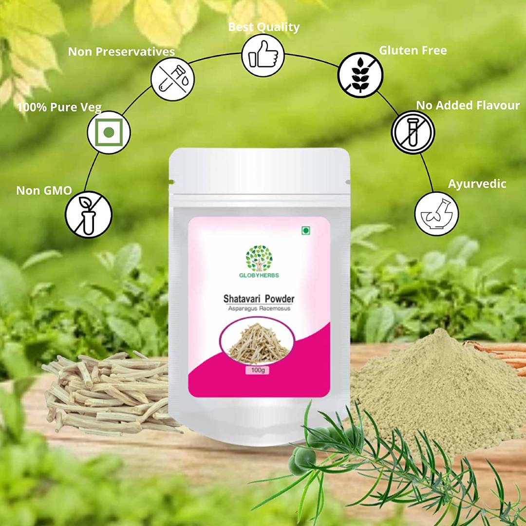 Globyherbs Pure Shatavari Asparagus Racemosus Powder, Rejuvenative For Vata And Pitta That Promotes Vitality And Strength (100Gm) (3) Globyherbs Pure Shatavari Asparagus Racemosus Powder, Rejuvenative For Vata And Pitta That Promotes Vitality And Strength (100Gm)
